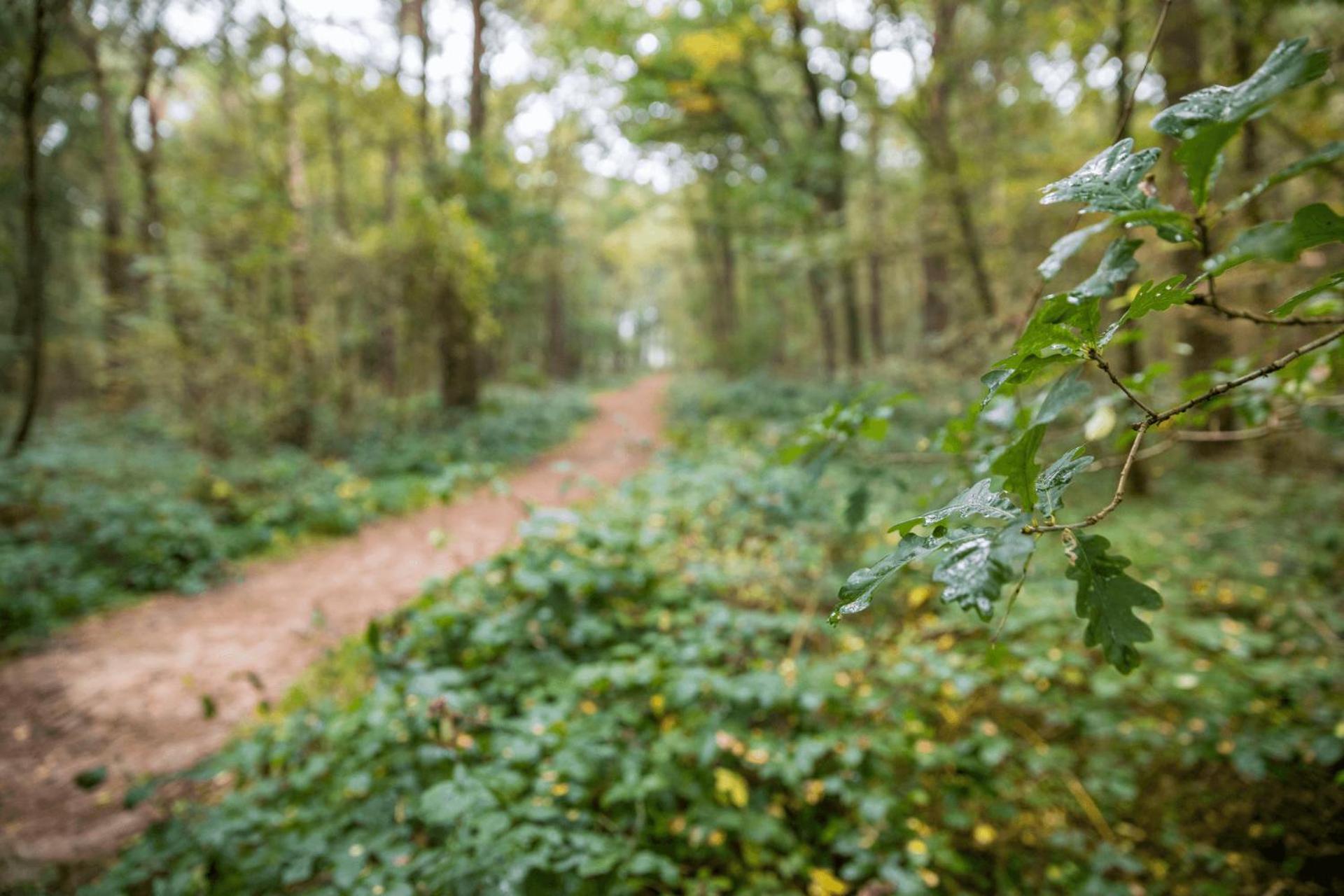 Landgoed Het Grote Zand Hooghalen エクステリア 写真