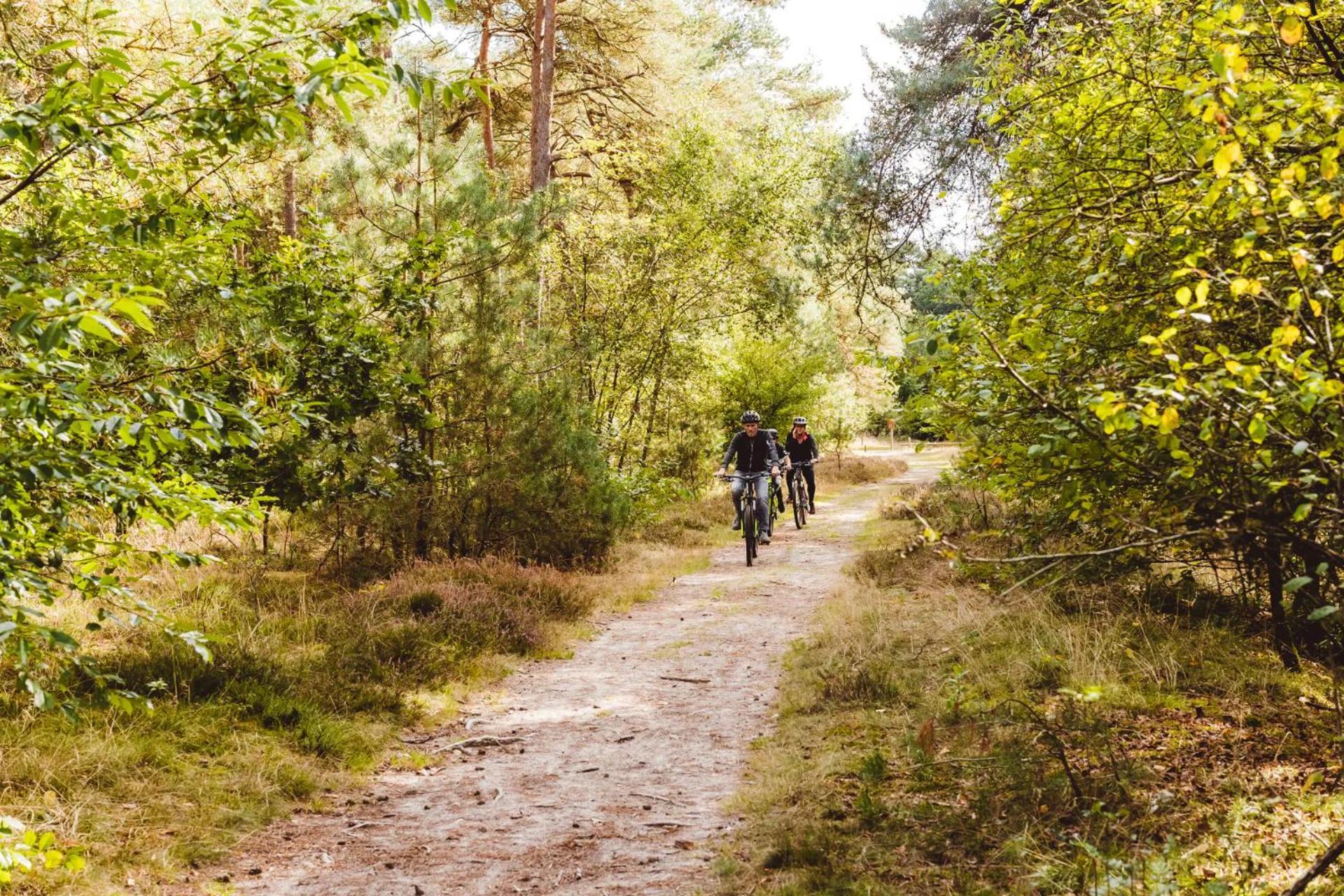Landgoed Het Grote Zand Hooghalen エクステリア 写真